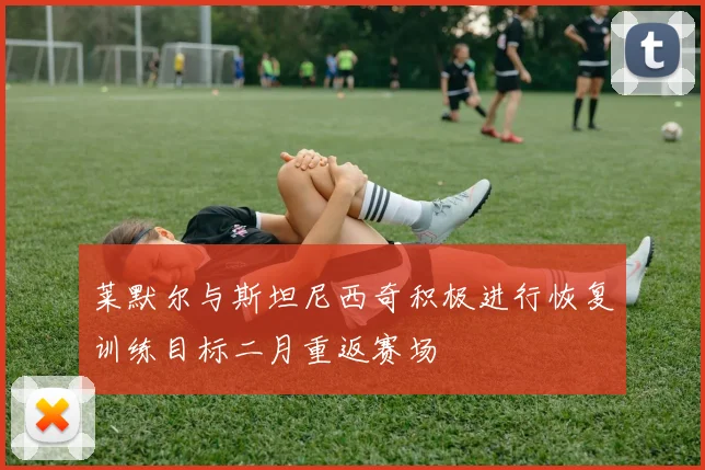 莱默尔与斯坦尼西奇积极进行恢复训练目标二月重返赛场